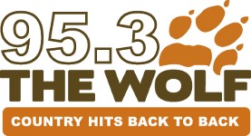 95.3 The Wolf logo